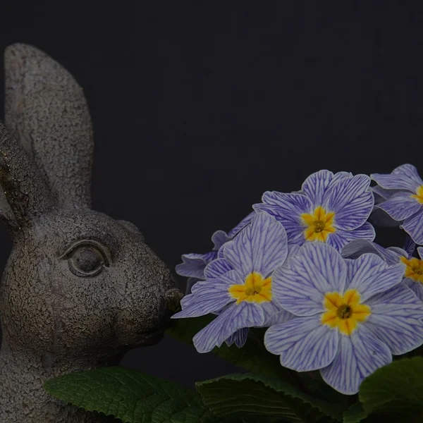 pg电子游戏棋牌游戏